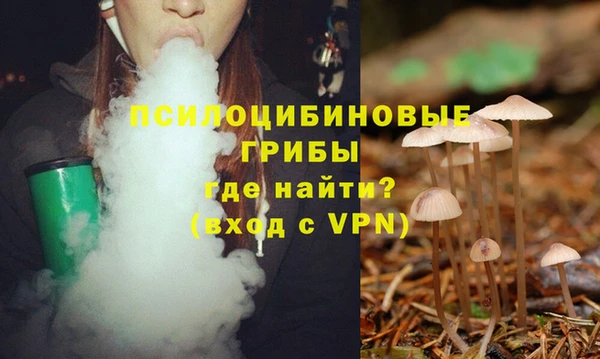 молекула духа Абаза